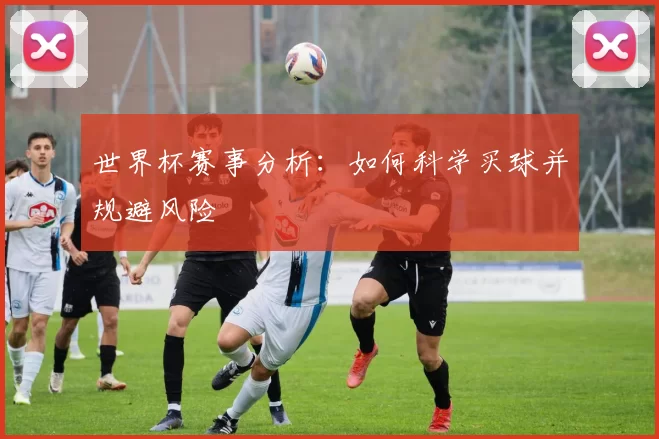 世界杯赛事分析：如何科学买球并规避风险
