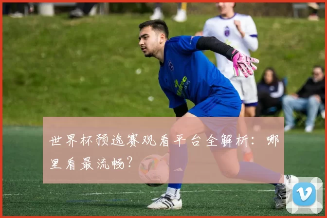 世界杯预选赛观看平台全解析:哪里看最流畅?