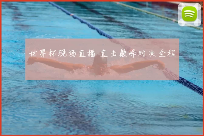世界杯现场直播 直击巅峰对决全程