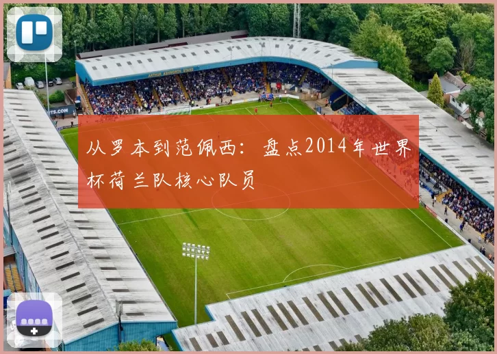 从罗本到范佩西：盘点2014年世界杯荷兰队核心队员