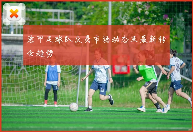 意甲足球队交易市场动态及最新转会趋势