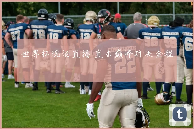 世界杯现场直播 直击巅峰对决全程